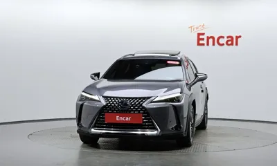 Lexus UX 2019, 54356 км, за 21615.56 USD