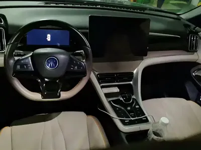 BYD Pro New Energy 2023, 37800 км, за 10005.69 USD - фото 12