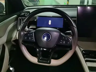 BYD Pro New Energy 2023, 37800 км, за 10005.69 USD - фото 15