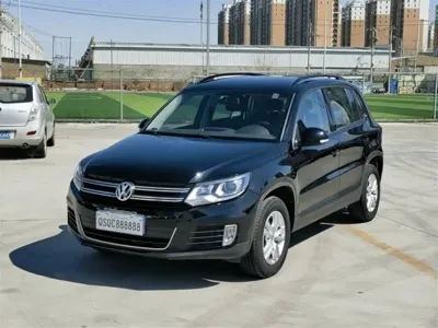 Volkswagen Tiguan · 2015 год