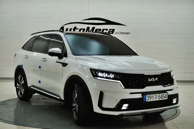 Kia Sorento 2023, 58584 км, за 24046.02 USD