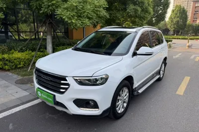 Haval H6 · 2019 год