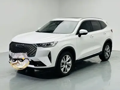 Haval H6 · 2021 год