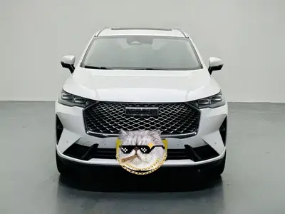 Haval H6 2021, 62000 км, за 8600.44 USD