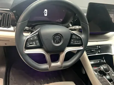 BYD PLUS New Energy 2022, 53900 км, за 10417.69 USD