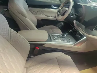 BYD Tang New Energy 2025, 12000 км, за 19581.1 USD - фото 8