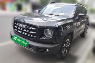 Haval Dargo · 2021 год