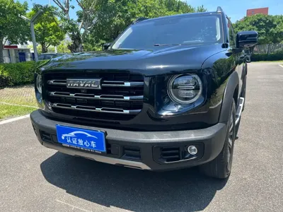 Haval Big Dog 2023, 50000 км, за 10284.51 USD - фото 6