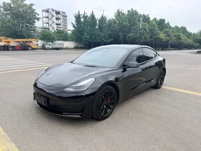 Tesla Model 3 · 2021 год