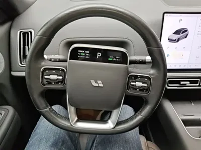 Li Auto Li L9 2022, 77100 км, за 32856.78 USD - фото 11