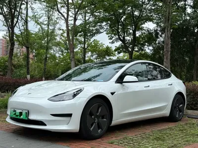 Tesla Model 3 · 2021 год