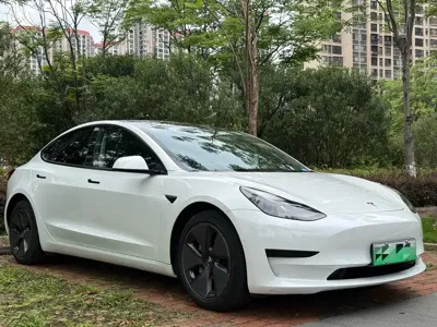 Tesla Model 3 2021, 115000 км, за 16620.24 USD