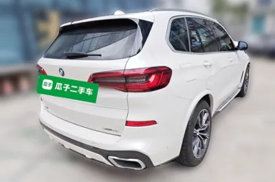 BMW X5 2019, 100000 км, за 40224 USD - фото 6