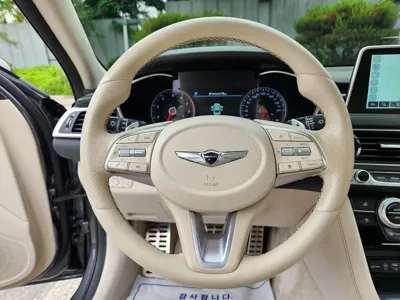 Genesis G70 2020, 118000 км, за 14626.53 USD - фото 15