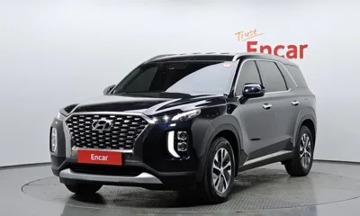 Hyundai Palisade · 2019 год