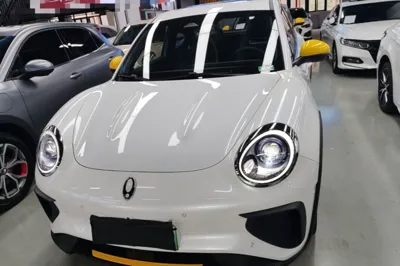 ORA Good Cat GT 2023, 42100 км, за 13229 USD