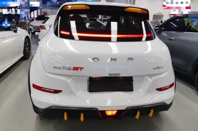 ORA Good Cat GT 2023, 42100 км, за 13229 USD