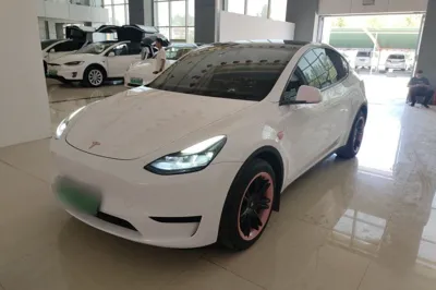 Tesla Model Y · 2022 год