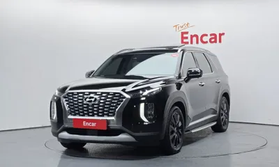 Hyundai Palisade · 2019 год