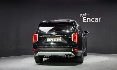 Hyundai Palisade 2019, 116233 км, за 12890.01 USD