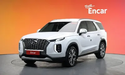 Hyundai Palisade · 2019 год