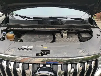 GAC Motor Trumpchi M8 2021, 107500 км, за 15993.19 USD - фото 10