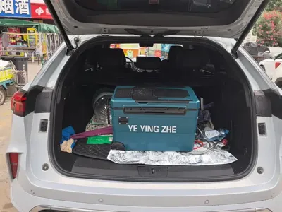 WEY Wey Mocha 2021, 42300 км, за 12065.69 USD
