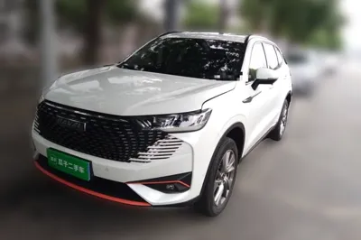 Haval H6 · 2022 год