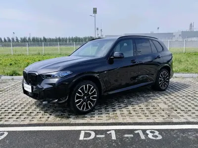 BMW X5 · 2024 год