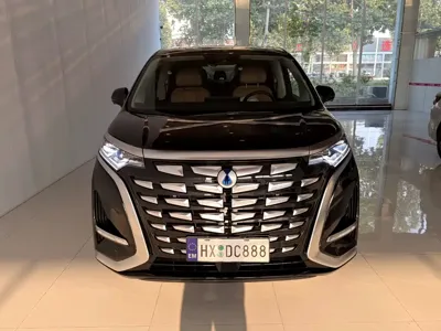 Denza Denza D9 · 2025 год