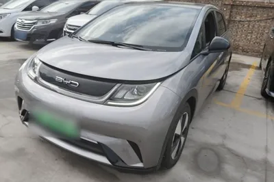 BYD Dolphin · 2023 год