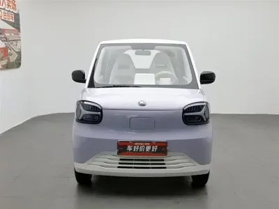 Zhidou Zhido Rainbow 2024, 13400 км, за 2913.42 USD