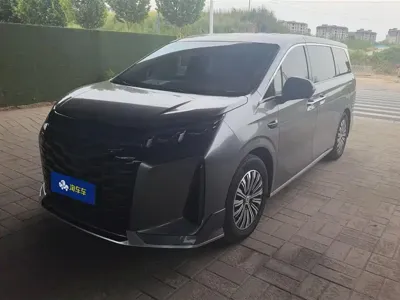 BYD Xia · 2025 год