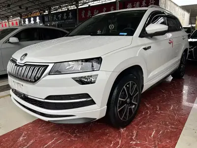 Skoda Karoq · 2023 год