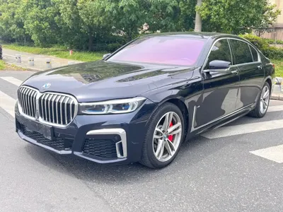 BMW 7 Series · 2019 год