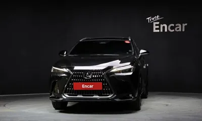 Lexus NX 2025, 8603 км, за 37991.41 USD