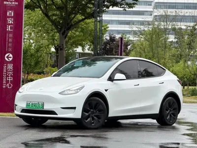 Tesla Model Y · 2024 год