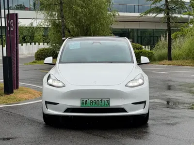 Tesla Model Y 2024, 39000 км, за 29399.08 USD