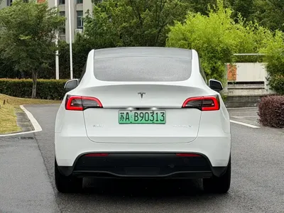 Tesla Model Y 2024, 39000 км, за 29399.08 USD