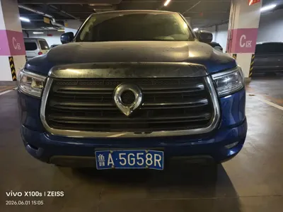 Great Wall Pao · 2020 год