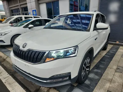 Skoda Kamiq · 2021 год