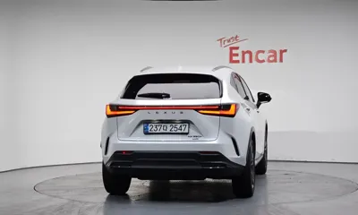 Lexus NX 2025, 16964 км, за 37462.83 USD