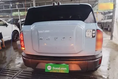 Haval X DOG 2022, 8300 км, за 12783 USD