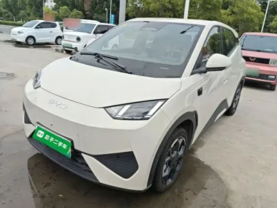 BYD Seagull 2025, 4900 км, за 9987.61 USD