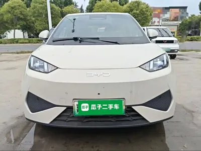 BYD Seagull 2025, 4900 км, за 9987.61 USD