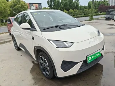 BYD Seagull 2025, 4900 км, за 9987.61 USD