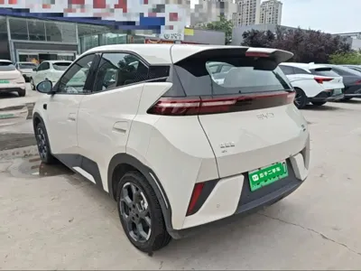 BYD Seagull 2025, 4900 км, за 9987.61 USD