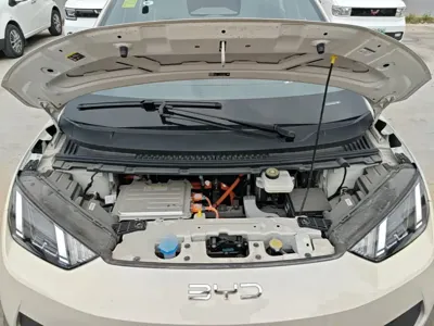BYD Seagull 2025, 4900 км, за 9987.61 USD - фото 20