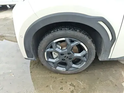 BYD Seagull 2025, 4900 км, за 9987.61 USD - фото 23