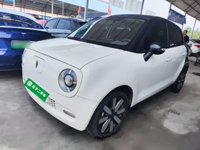 Euler Black Cat · 2020 год